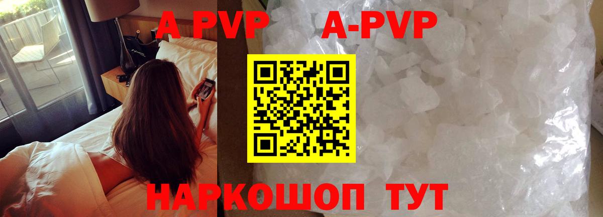 Alfa_PVP СК Верхняя Пышма