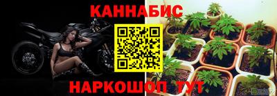 хмурый Кингисепп