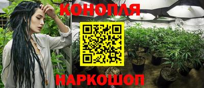 прущие грибы Кимры