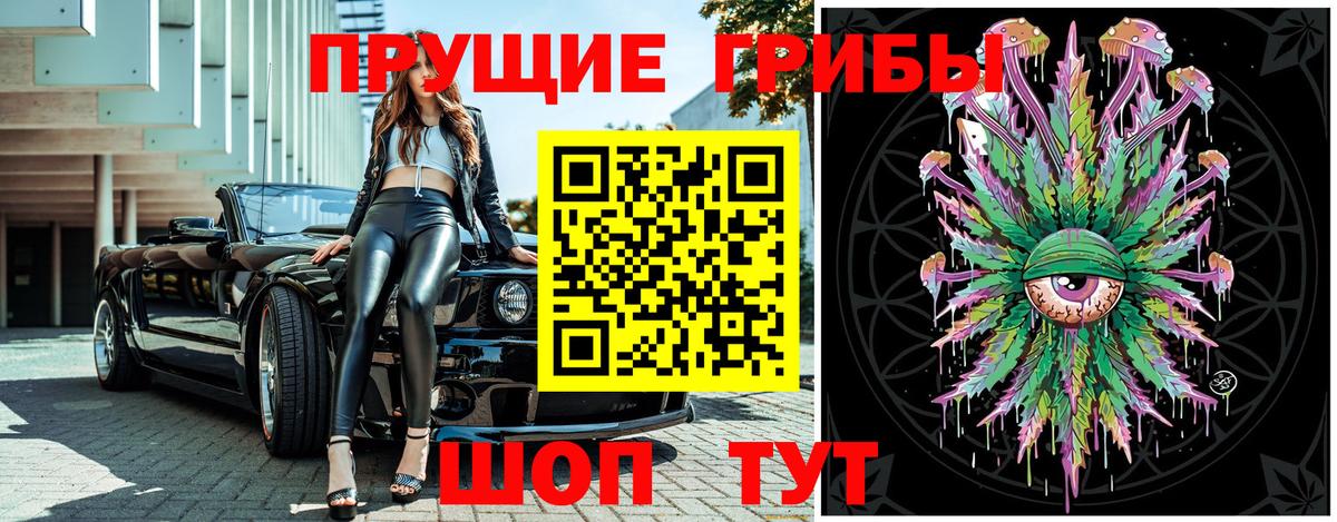 сколько стоит  Вход с VPN  Верхняя Пышма  Галлюциногенные грибы Psilocybine cubensis 