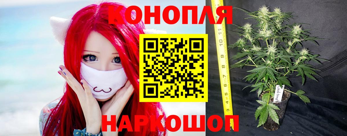 Канабис AK-47 Верхняя Пышма